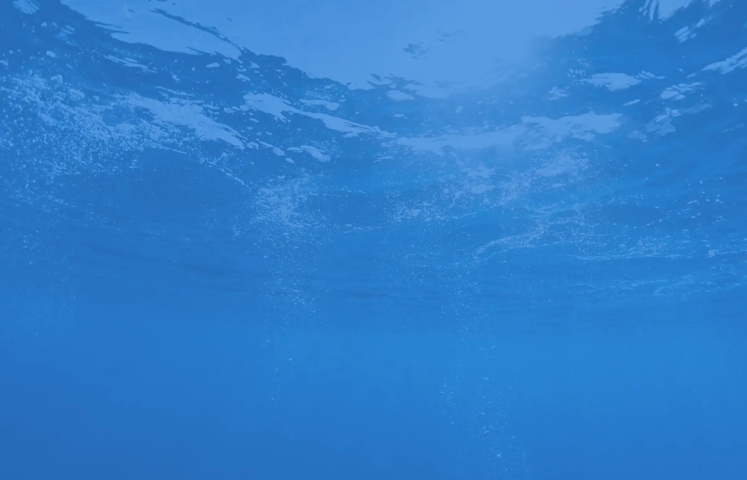 独自の海上輸送ネットワークの構築