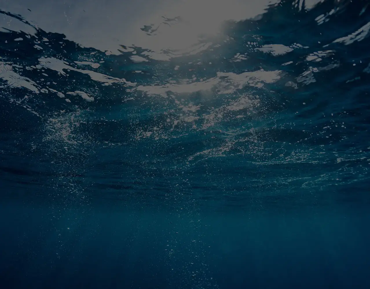 サステナビリティ