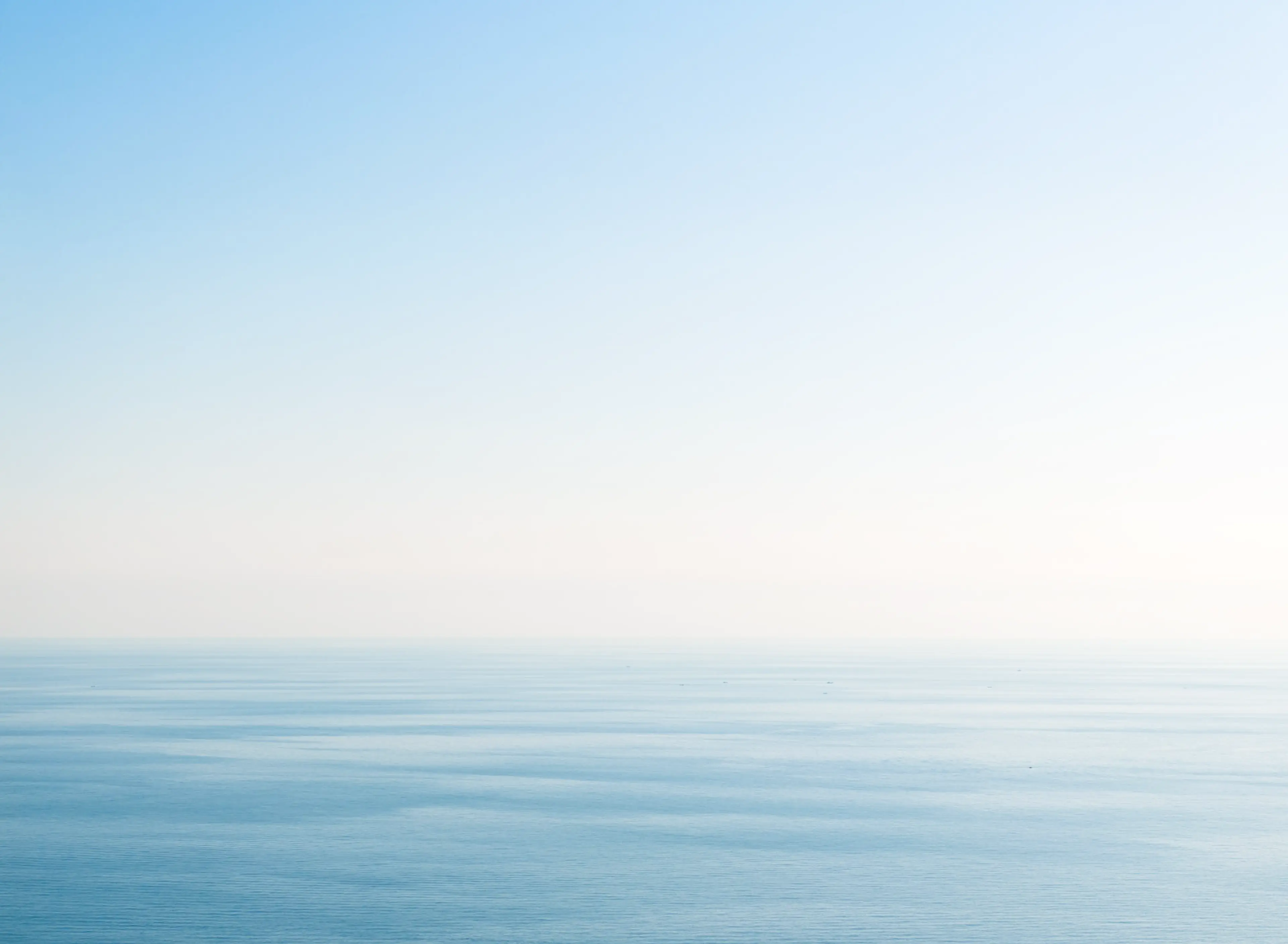 サステナビリティ